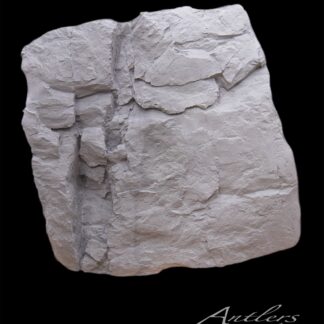 A textured, light gray Reproduction Rock slab with layered, uneven surfaces is displayed against a solid black background. The words Antlers by Klaus appear in elegant script at the bottom right corner.