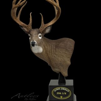 The Jordan Buck Miniature Bust features a mounted deer head with large antlers on a black base labeled “James Jordan 206 1/8.” Set against a solid black background, the piece displays prominent antlers and “Antlers by Klaus” in the corner.