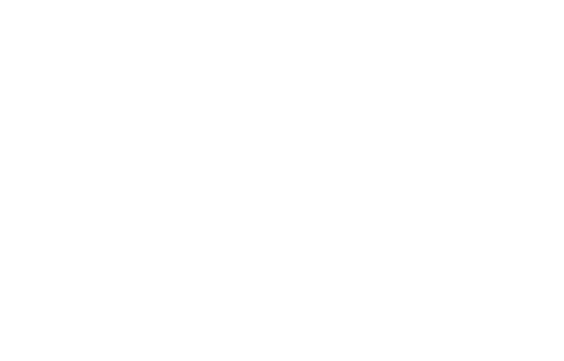 White logo featuring pine trees, a woodpecker, and mountain peaks above the stylized text Wilderness By Klaus on a light gray background.