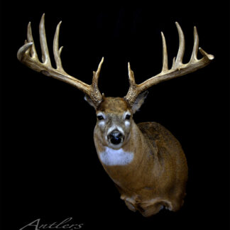The John Filla Buck, a mounted deer with wide, multi-point antlers, is displayed against a black background. "Antlers By Klaus" appears in white text at the bottom left corner.