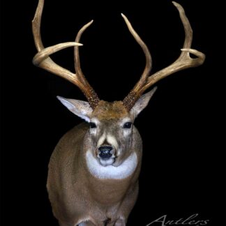 Burt Eichstaedt Buck