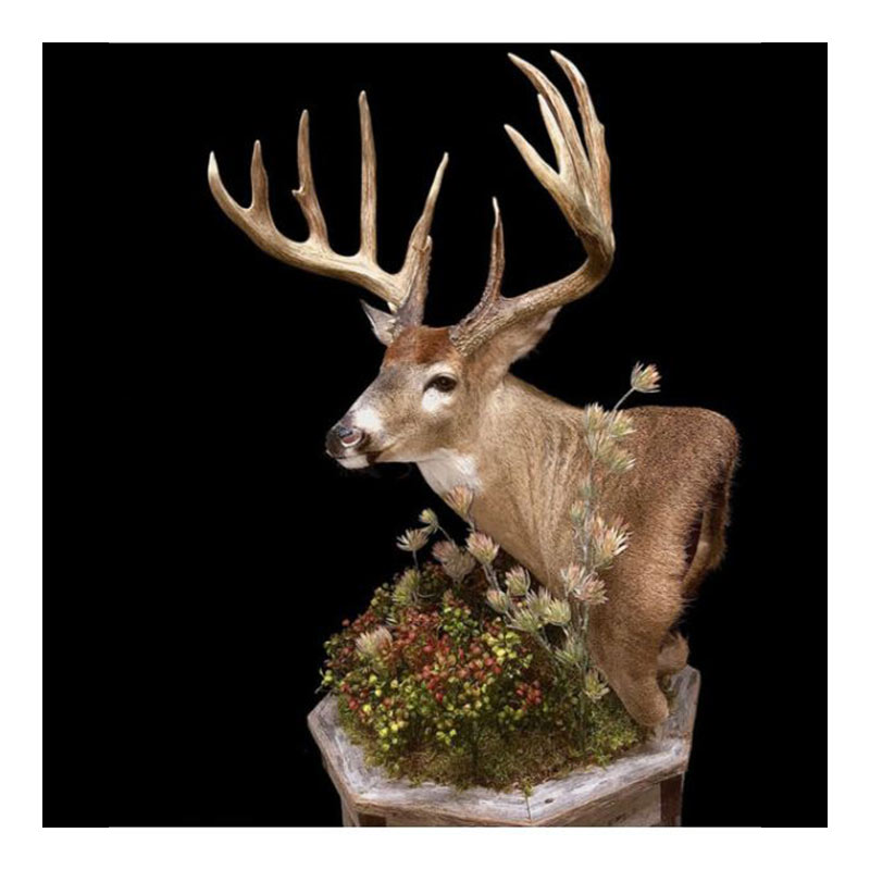 A mounted taxidermy deer with large antlers is displayed against a black background, surrounded by artificial greenery and flowers at the base.