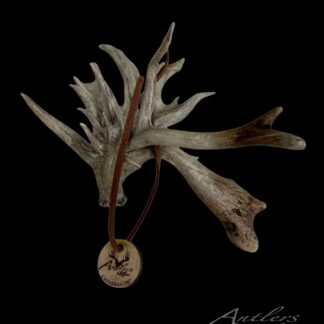 Front view of Canadian 156” Shed Miniature sold by Antlers by Klaus
