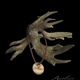 Front view of Carter Shed Miniature sold by Antlers by Klaus