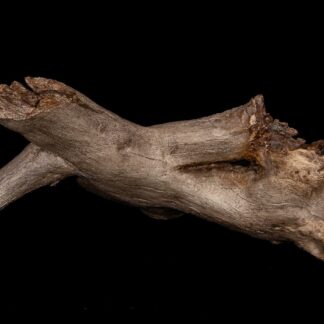 The Artificial Driftwood Habitat features a dry, gnarled branch with rough bark and uneven edges, isolated on a black background.