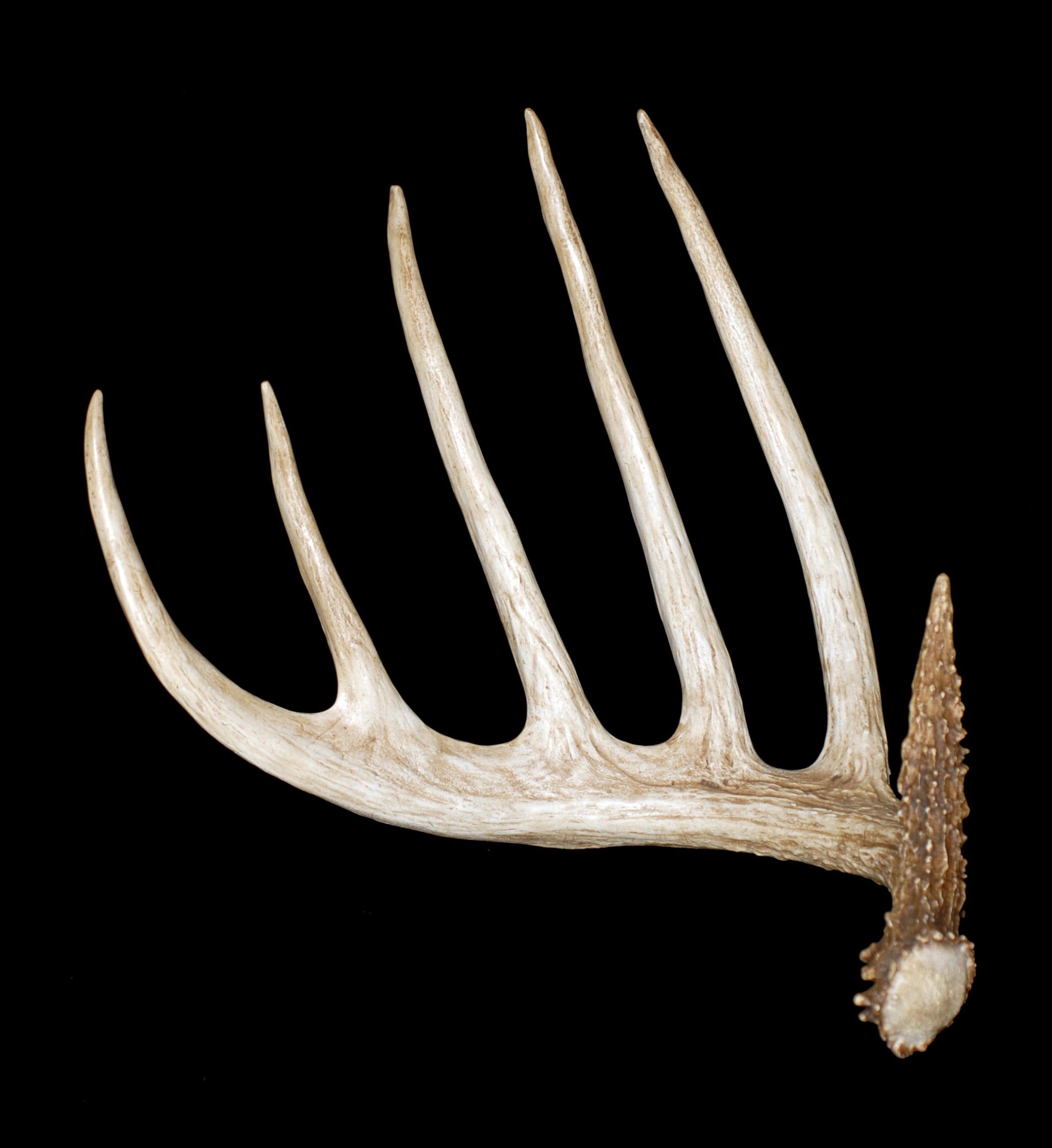 Kansas King Shed - Antlers by Klaus