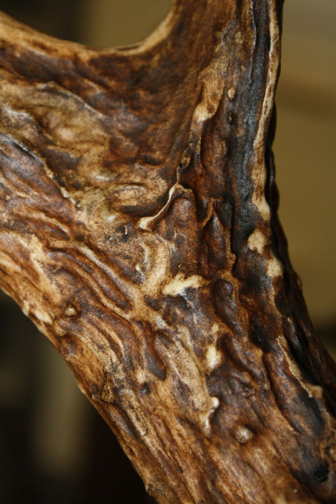 Close-up of a textured, brown, and weathered surface, possibly a piece of driftwood or an animal antler, showing natural grooves, ridges, and patterns.