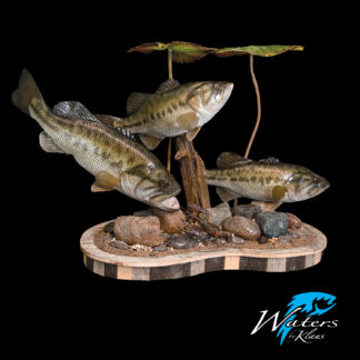 The Large Lilypad Fish Display features three realistic largemouth bass swimming among rocks, driftwood, and a crayfish, accented by two leafy stems; the Waters by Klaus logo appears in the bottom right corner.