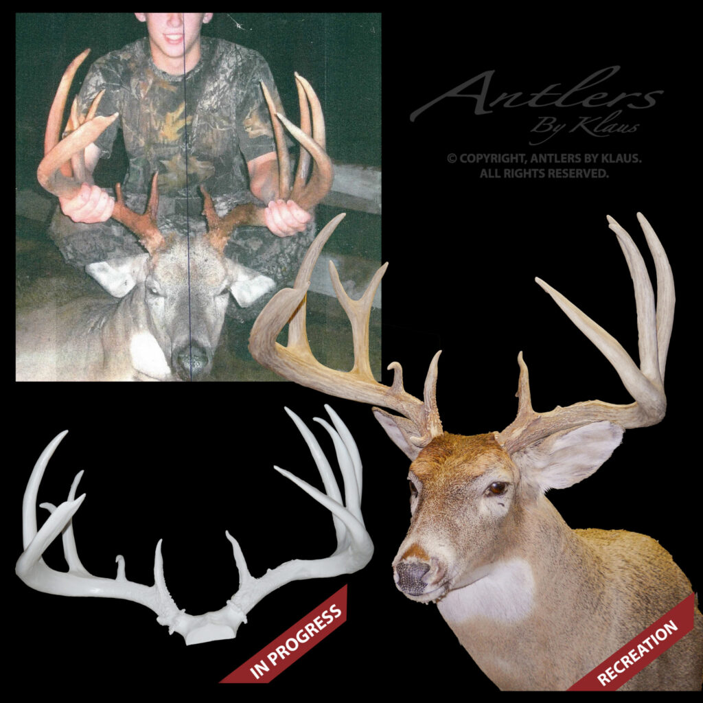 A collage showing a hunter with a large deer, an antler replica in progress, and a finished recreation mount. The text reads Antlers By Klaus and IN PROGRESS and RECREATION labels mark the bottom images.