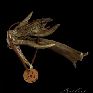 Front view of the Stump Shed Miniature Main sold by Antlers by Klaus