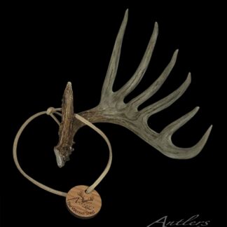 Front view of the Wensel Shed Miniature Main sold by Antlers by Klaus