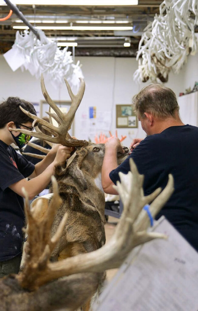 Two people work on the antlers of a mounted deer in a workshop filled with animal skulls and bones hanging from the ceiling and walls.