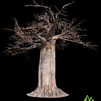 The Baobab Tree features a thick trunk and sprawling leafless branches set against a black background, with the Nature by Klaus logo and green mountain graphic in the bottom right corner.