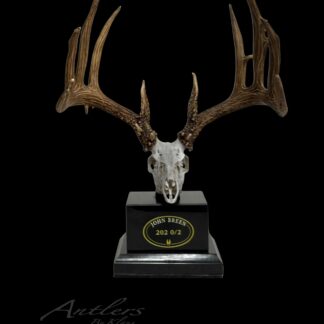 The John Breen Miniature features a mounted deer skull with large antlers on a black base. A plaque reads "John Breen 202 0/2." The image has a black background with "Antlers By Klaus" faintly visible at the bottom.