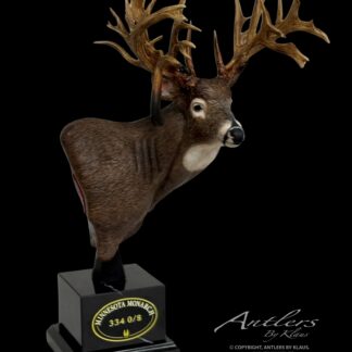 The Minnesota Monarch Miniature (Copy), a taxidermy whitetail deer mount with detailed antlers, is displayed on a black pedestal labeled "Minnesota Monarch 334 0/8" against a black background. Signed Antlers by Klaus.