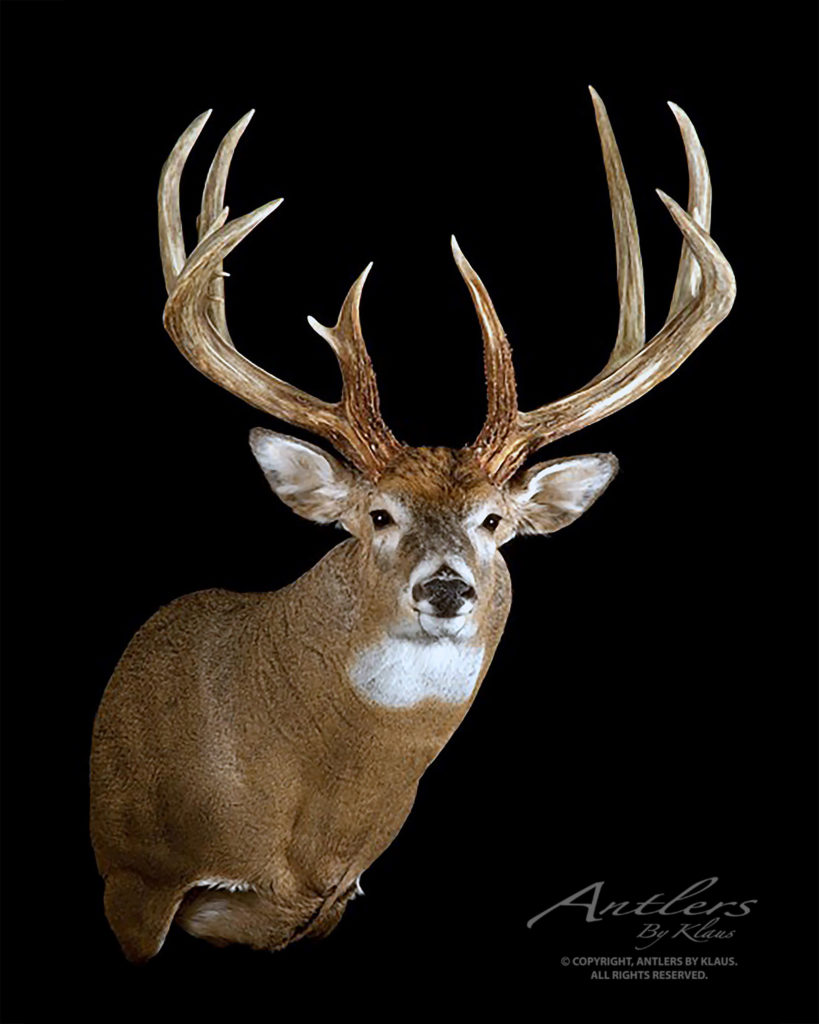 Kirk Klohs Buck - Antlers By Klaus