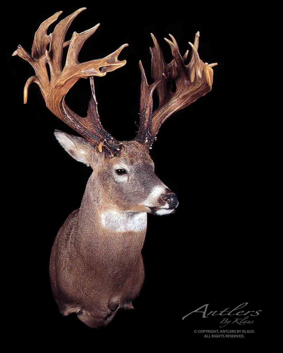 Elburn Kohler Buck – Antlers by Klaus