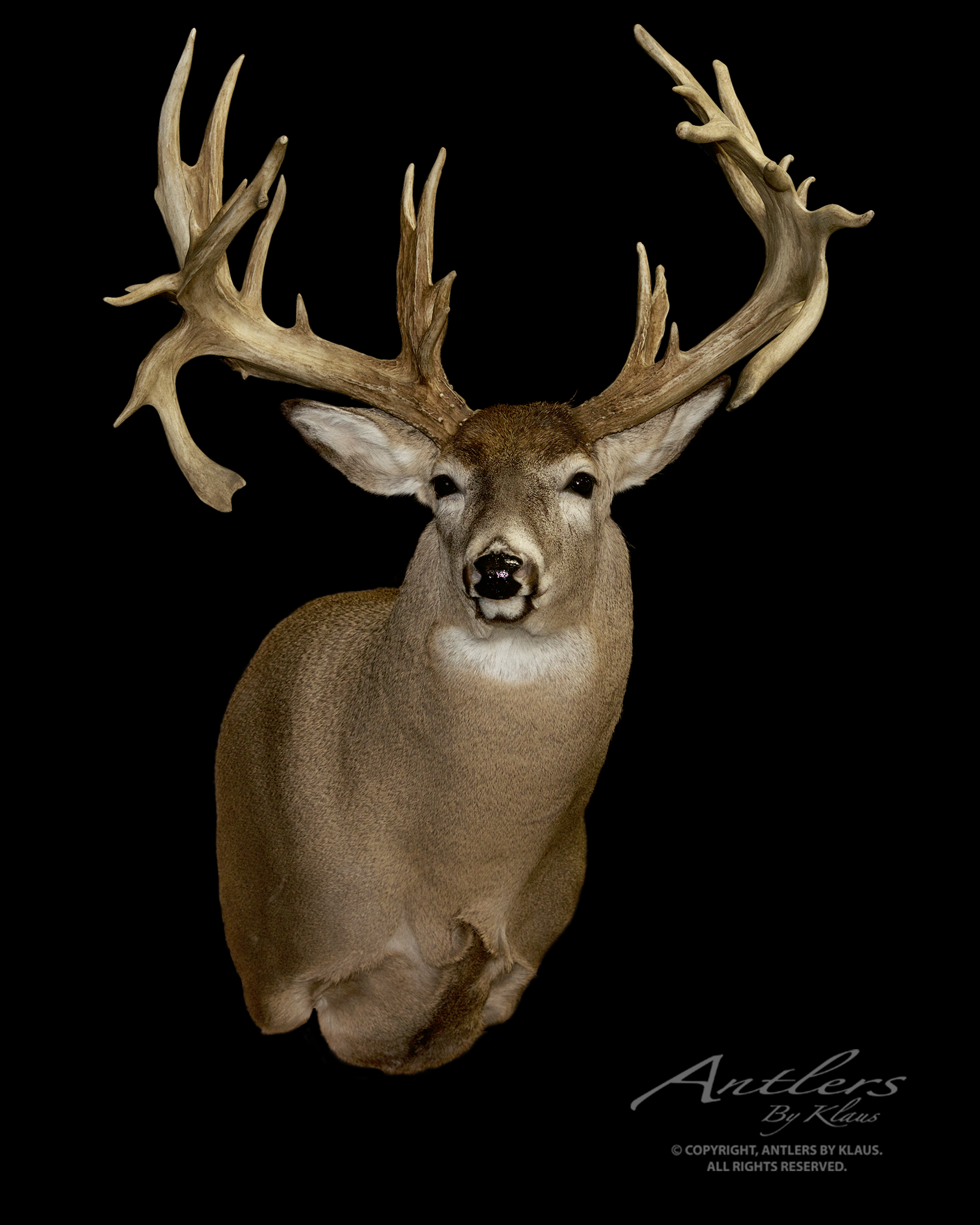 Texas High Tower Sheds - Antlers by Klaus