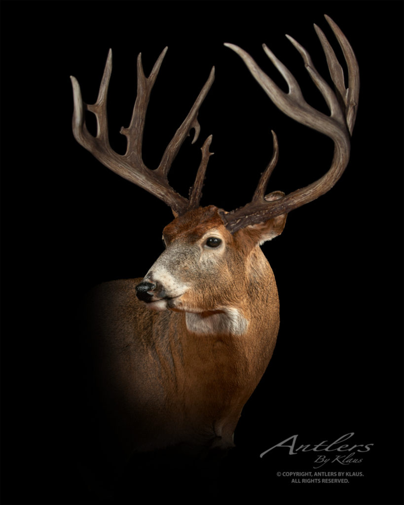 Lewis Britt Sheds - Antlers by Klaus