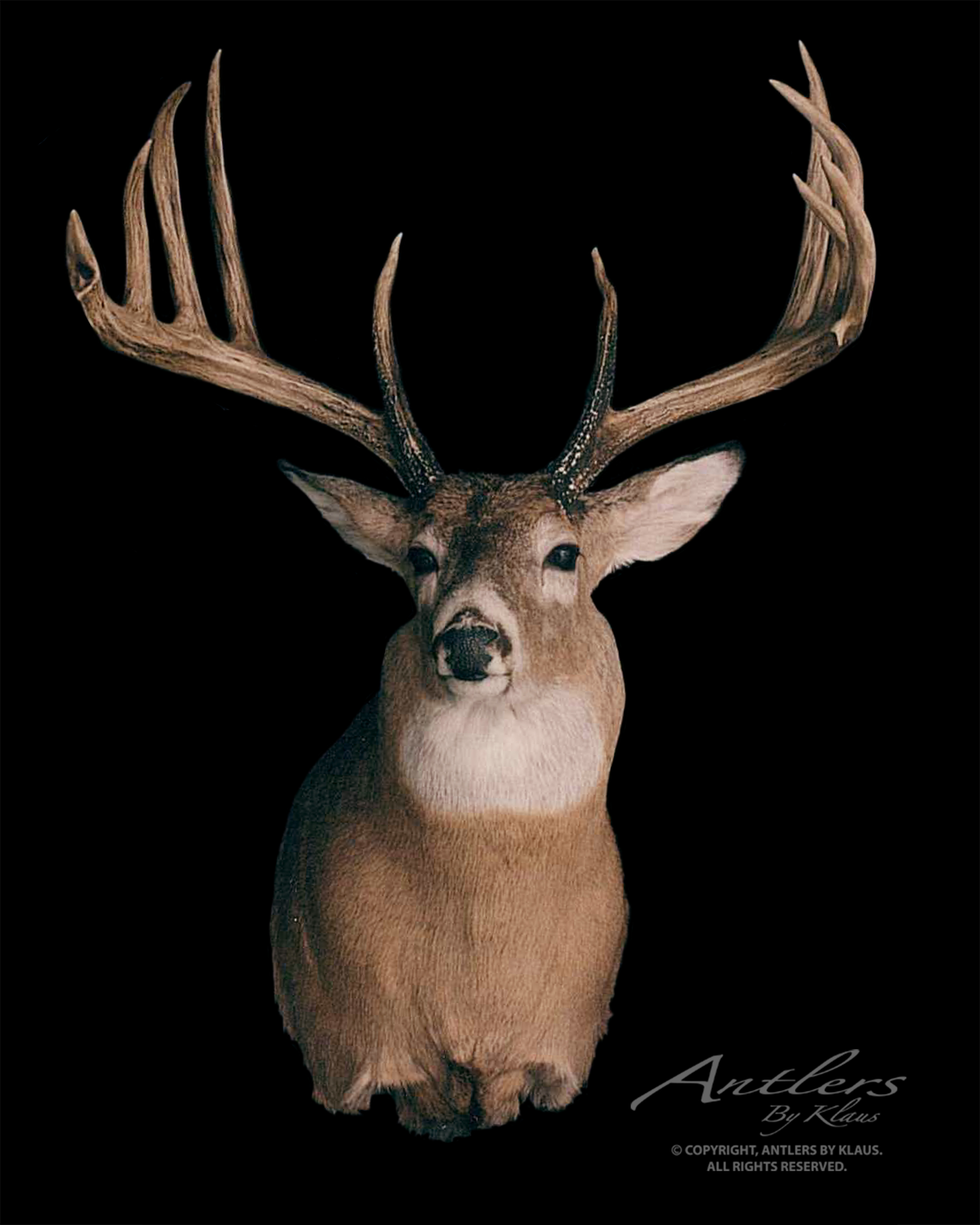 John Frederick Buck - Antlers by Klaus