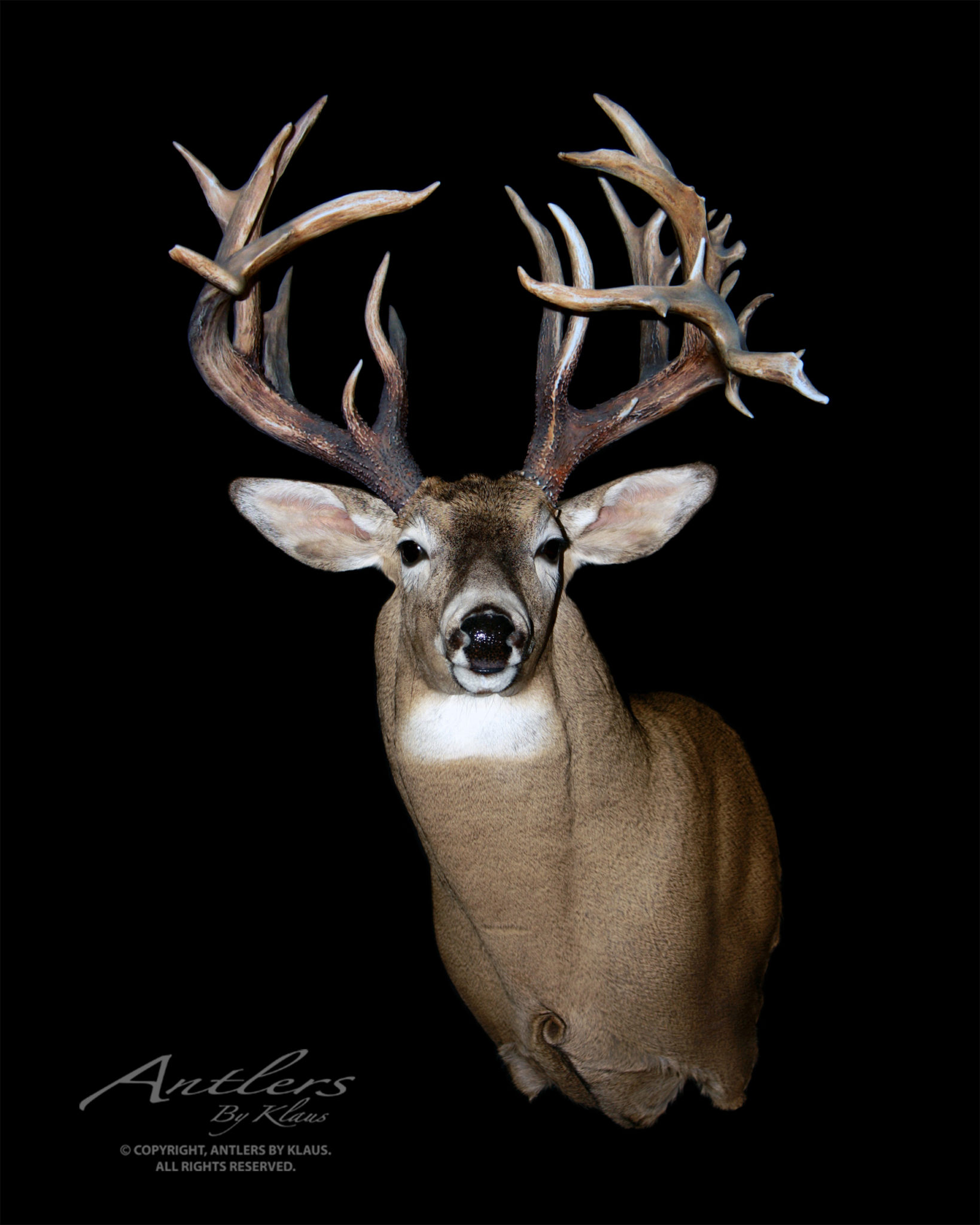 Manitoba Sheds - Antlers by Klaus