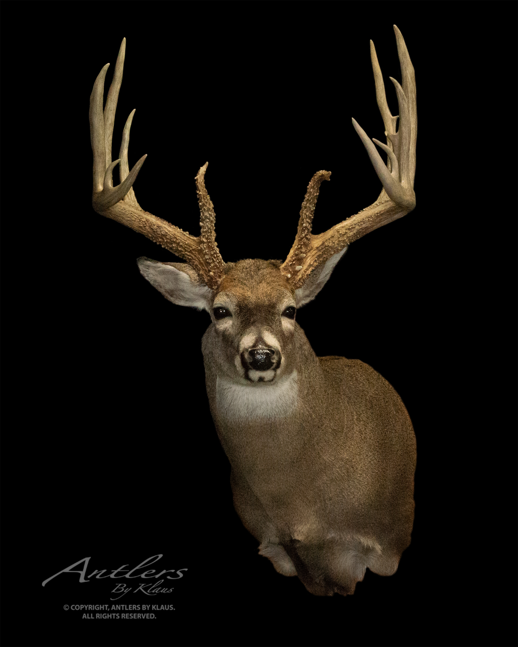 Randy Johnson Sheds - Antlers by Klaus
