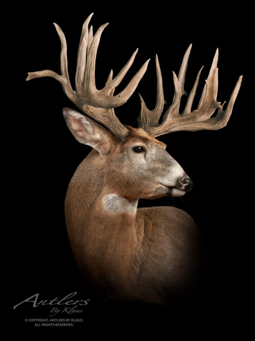 Smart Buck