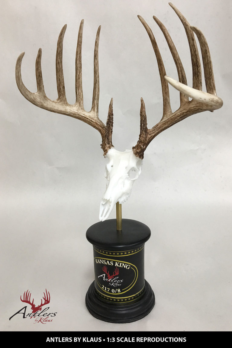 Kansas King 1:3 Scale Reproduction Collectible - Antlers by Klaus