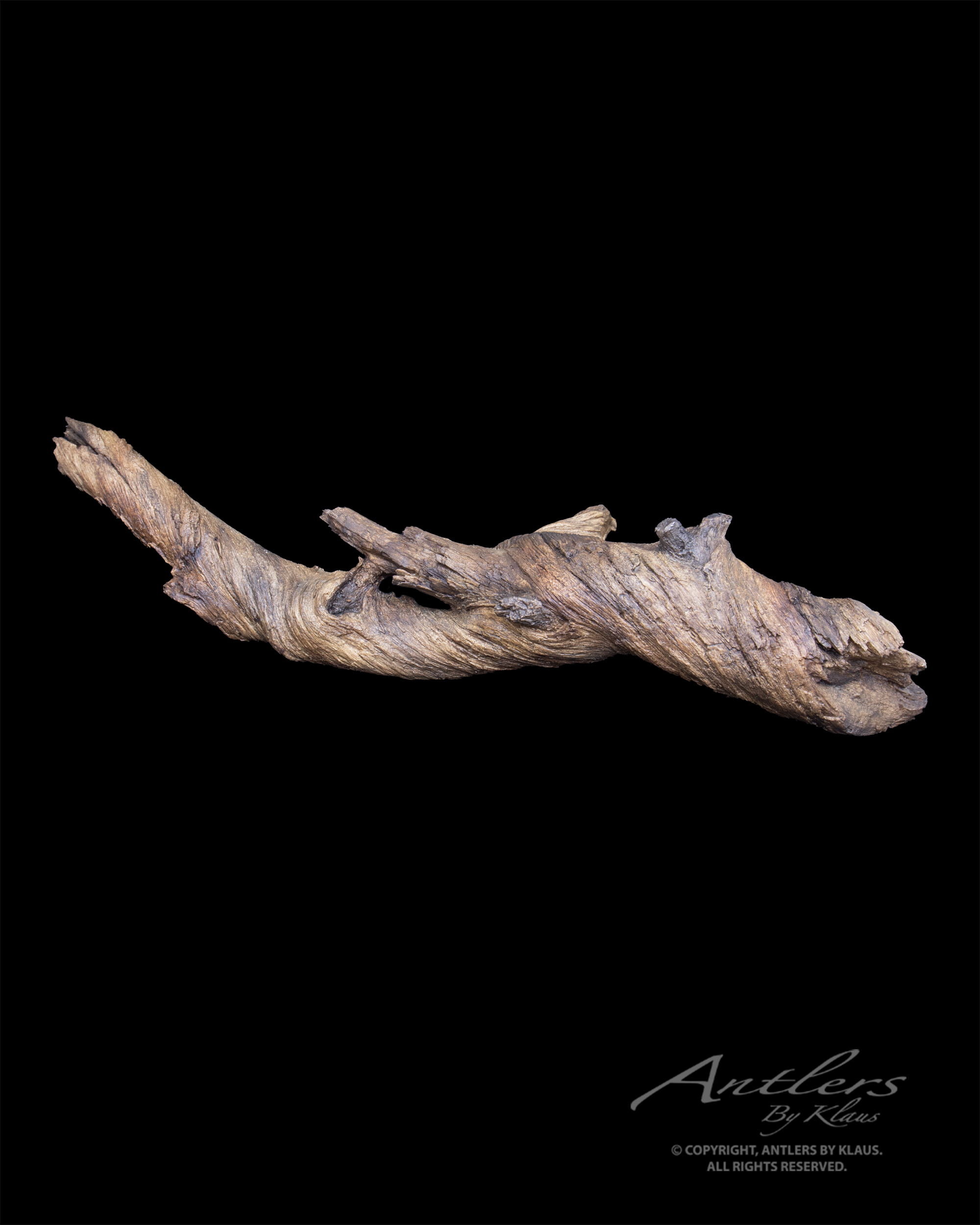 Twisted Branch 48" - Antlers by Klaus