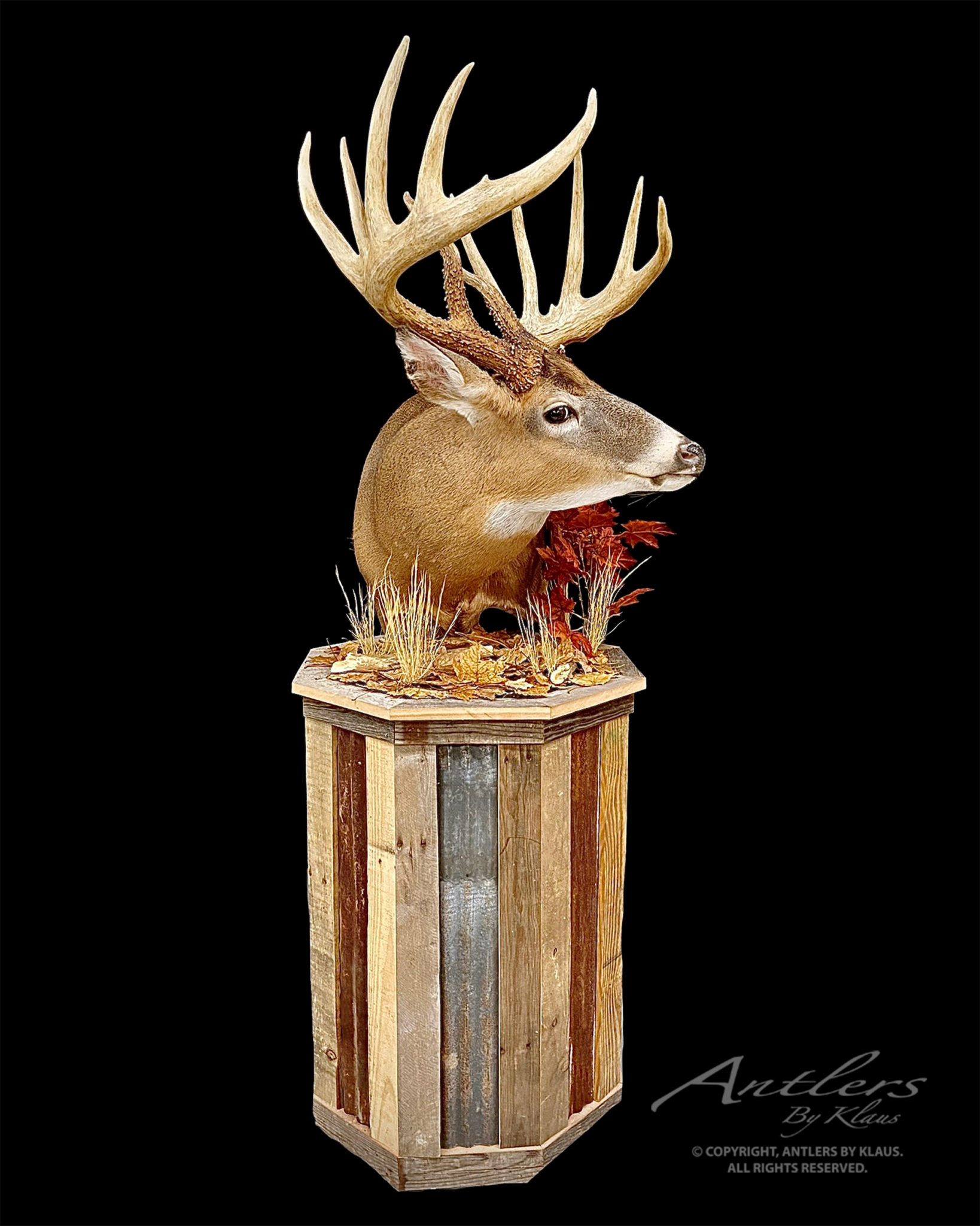 Rustic Taxidermy Pedestal - Antlers by Klaus