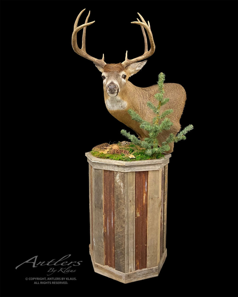 Rustic Taxidermy Pedestal - Antlers by Klaus