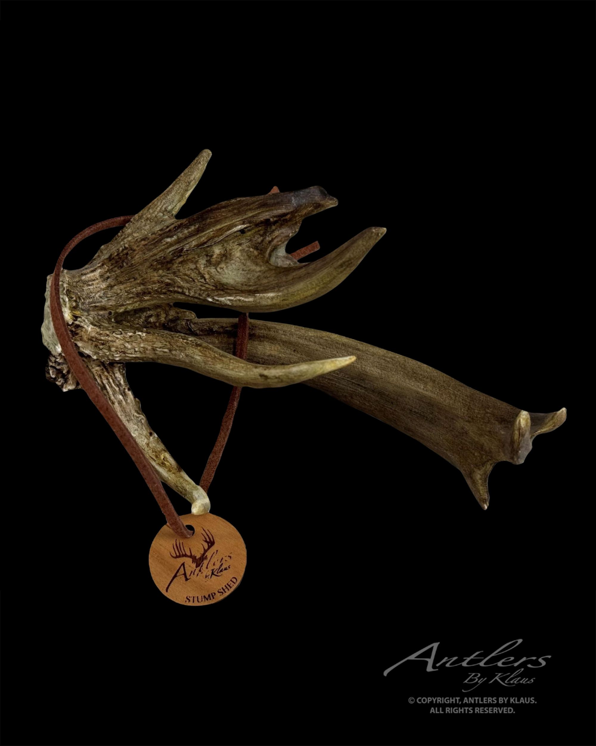 Stump Shed Miniature - Antlers by Klaus