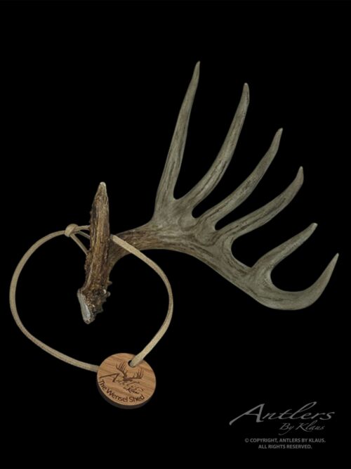 Front view of the Wensel Shed Miniature Main sold by Antlers by Klaus