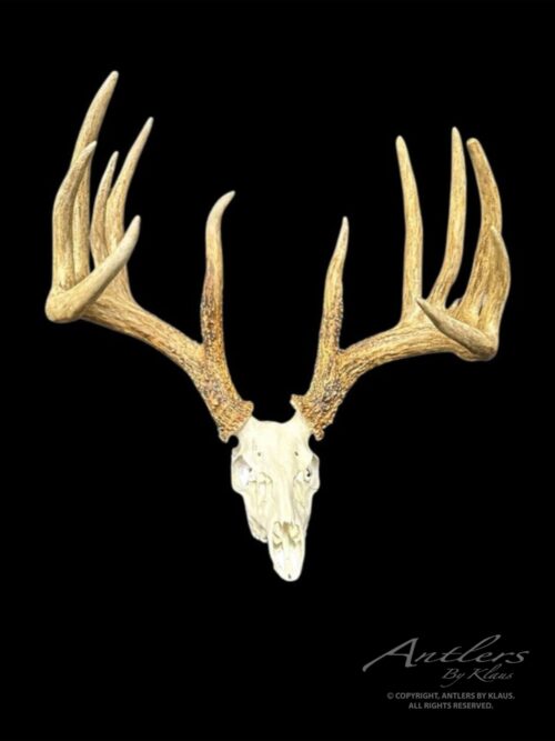 Johnny King Miniature