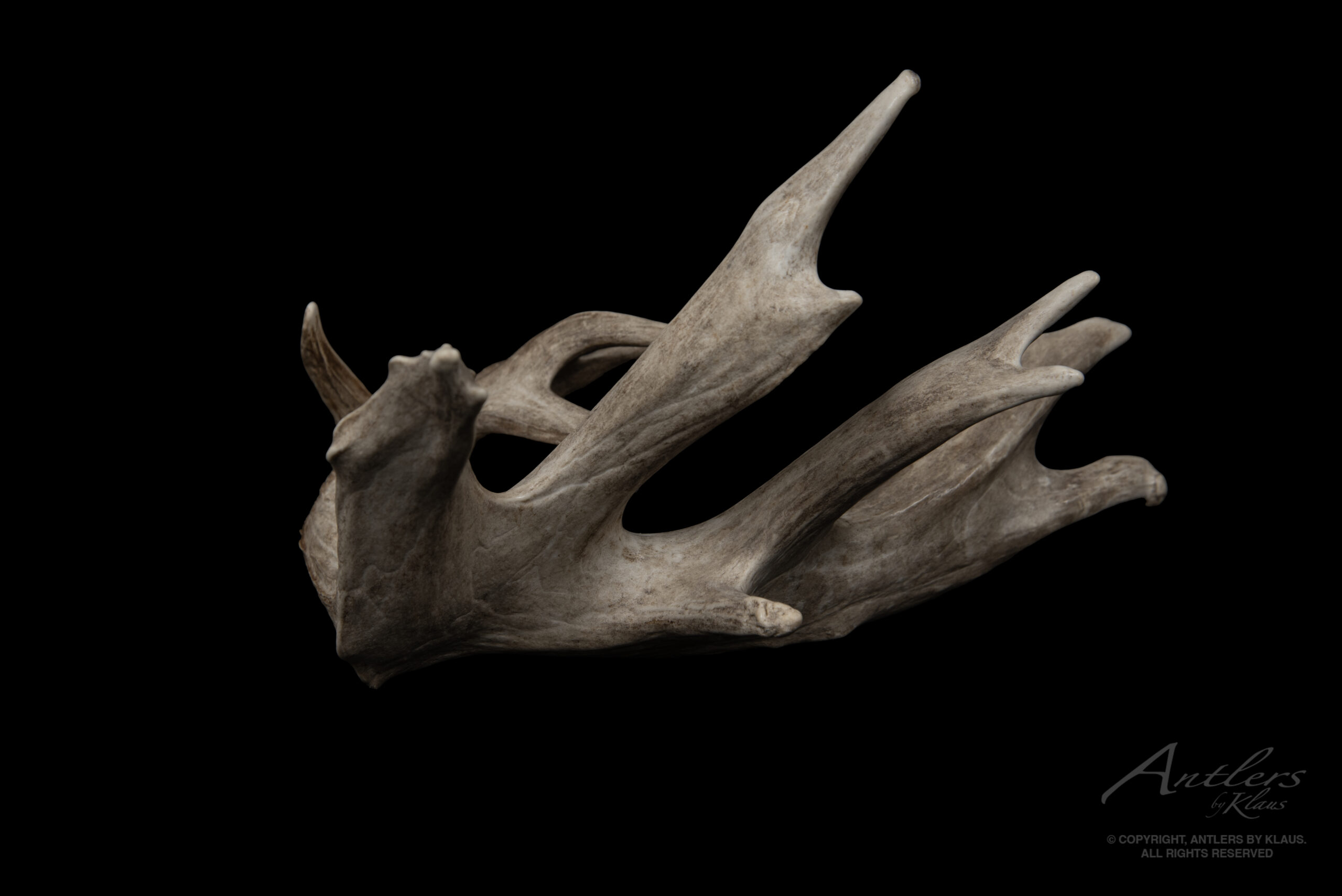 Clunker Shed - Image 3