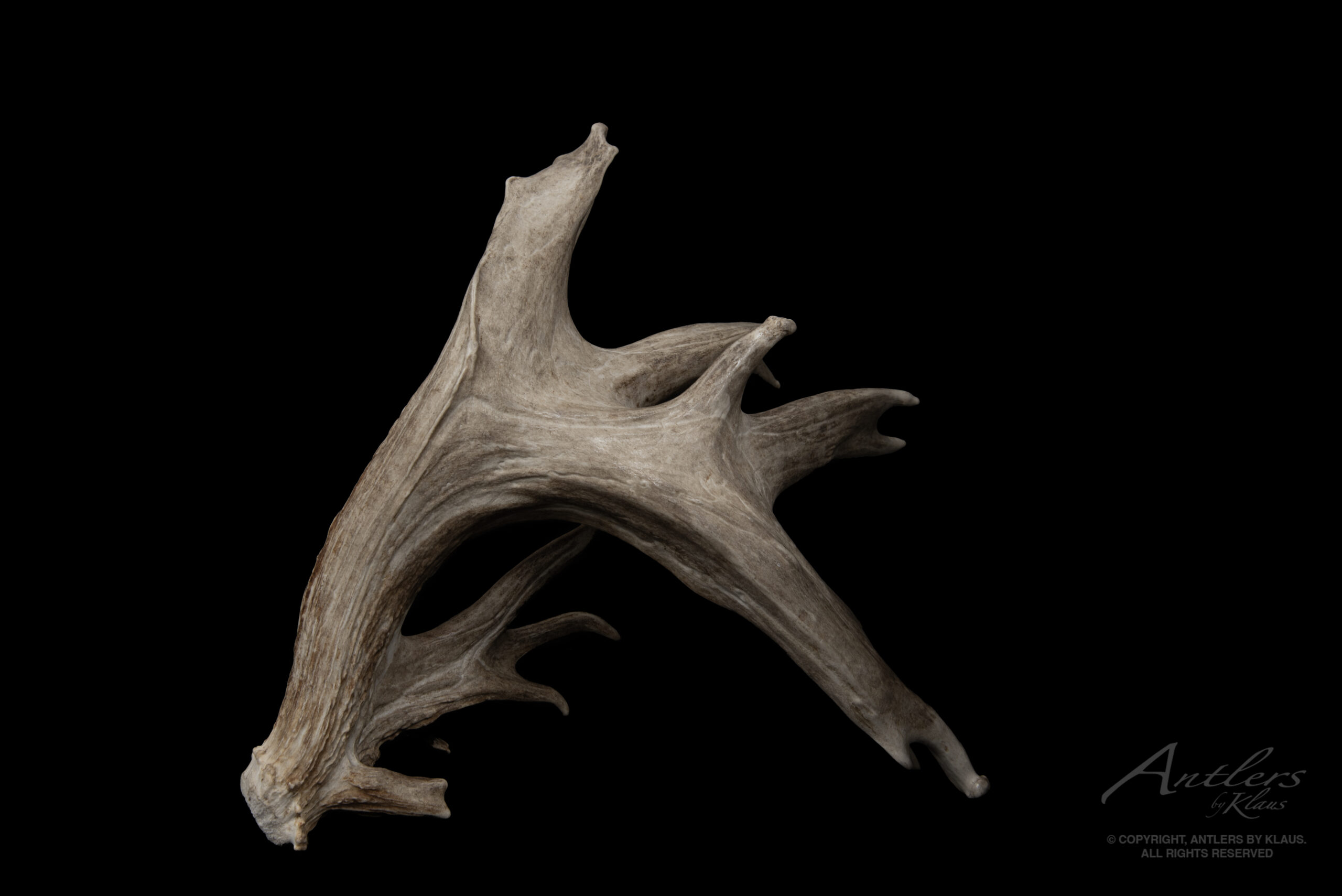 Clunker Shed - Image 4