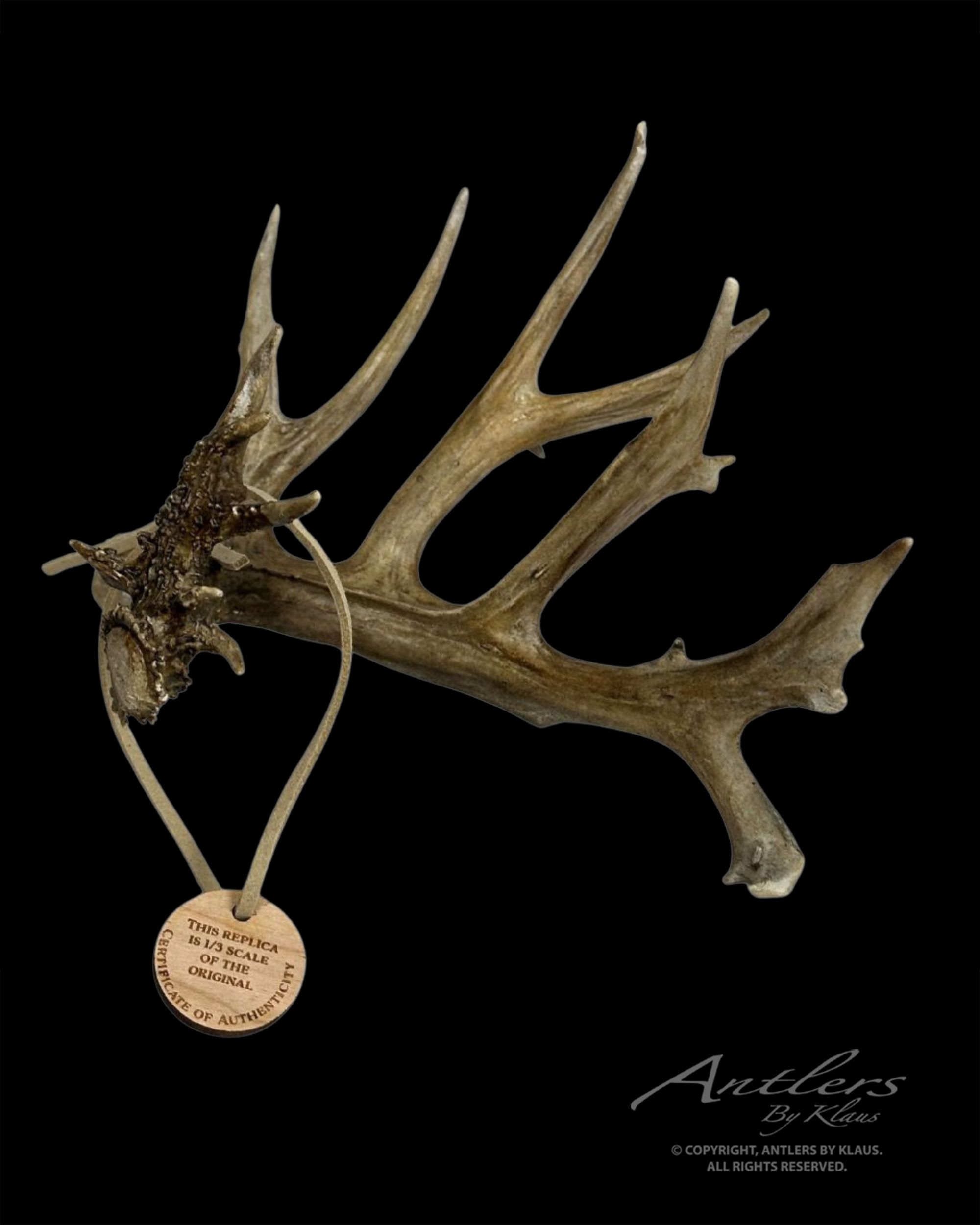 Brian Andrew's Buck Miniature - Image 2